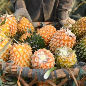 Tranches d'ananas moelleuses et croquantes du Mekong River, collection de collations aux fruits tropicaux - Product Image 1