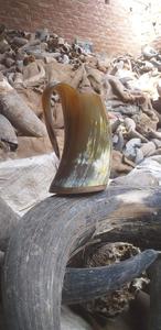 Tazas de Cuerno de Búfalo Dorado Premium al por Mayor, Jarra Duradera de Forma Natural Hecha a Mano con Cuernos - Product Image 3