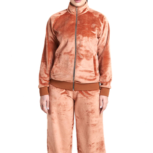 Wholesale Manufacturer Custom Women Velvet Winter Solid Casual <b>Tracksuit</b> Two Piece Set Soft Hoodie and Joggers - Product Image 3