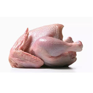Pollo Congelado Halal de Alta Calidad, Carne de Pollo Premium para Exportación y Venta al por Mayor - Product Image 6