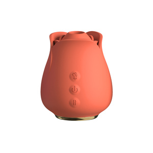 Rose Silicone Vibrator 10 Frequency Waterproof USB Rechargeable Massager for Personal Care - Product Image 1