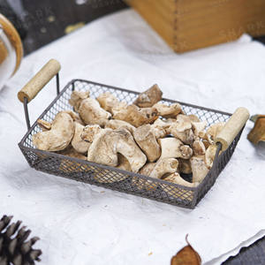 Tige de champignon pour l'exportation Tige de champignon du fournisseur du Vietnam Meilleure vente de tige de champignon - Product Image 2