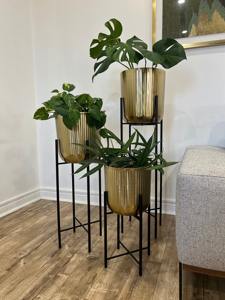 <b>Set</b> Of 2 Gold Planters With Black Stand Base Ideal For Living Room Side <b>Corner</b> Entrance Lobby And Restaurant Decor From India - Product Image 2