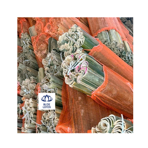 PALO DE BAMBÚ FRESCO DESHUECADO CON SUPERFICIE LISA AL POR MAYOR VIETNAM - Product Image 1