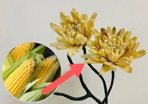 Hojas de maíz secas a granel para manualidades, decoración DIY, material de hojas de maíz para hacer muñecas de flores - Product Image 2