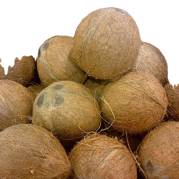 Экспортер полуочищенного кокоса из Индии по оптовой цене