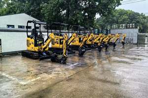 Miniexcavadora CAT Modelo 301.7 Usada en Buen Estado, Máquina de Construcción a Bajo Precio - Product Image 3