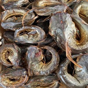 High Grade IQF Frozen <b>Dried</b> African Catfish Vacuum Pack Hygienically Processed for Lasting Freshness Delicious Aroma Trusted - Product Image 5