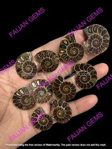 Tranches de Fossile d'Ammonite Naturelle de Haute Qualité - Certifiées par un tiers - Taille personnalisable - Fournitures pour la fabrication de bijoux - FIJAN GEMS - Product Image 6