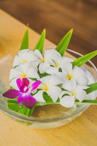 Extracto de la planta Jasminum Sambac CO2 Extracción de fluidos súper críticos - Product Image 6