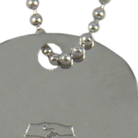 Collier pour chien double face AKA, pendentif style militaire argenté avec lettres AKA roses et vertes et chaîne à billes avec écusson