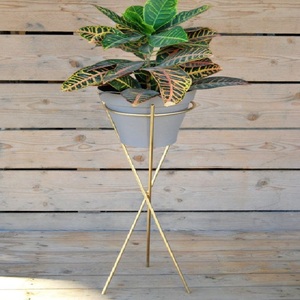Luxury Modern Metal Plant <b>Stand</b> with <b>Pot</b> Indoor Decorative Tall Flower <b>Pot</b> <b>Stand</b> Gold Iron Planter - Product Image 1