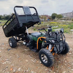 Grand Quad ATV Chithan 4x4 Tout-Terrain 350cc Moteur 4 Temps Transmission Automatique Blocage de Différentiel Remorque Plastique OEM/ODM - Product Image 3