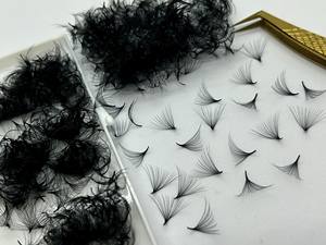 Pestañas de Volumen Premade Profesionales al por Mayor de Alta Calidad, Hechas a Mano en Vietnam y Corea, de PBT Suave, Curva C 20D, Base Puntiaguda - Product Image 4