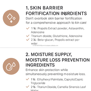 Crème BB coréenne OEM et écran solaire coussin d'air, traitement des cernes, hydratant laiteux pour tous types de peau, extrait de bave d'escargot - Product Image 2