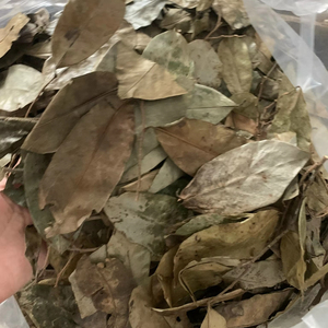 ใบกระเจี๊ยบแห้งเวียดนาม วัตถุดิบธรรมชาติสำหรับชงชาสมุนไพร เครื่องดื่ม และบริการจัดหาอาหาร - Product Image 1