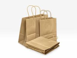 Bolsa de Bambú con Asas Retorcidas, Diseño Moderno, Ecológica, Duradera, Biodegradable, Papel Kraft, Impresión Flexográfica, Sellado Térmico - Product Image 2