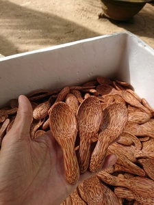 Cuillère en bois de coco fabriquée au Vietnam, cuillère en bois naturel faite à la main, ustensile de cuisine, export en vrac, qualité supérieure - Product Image 5