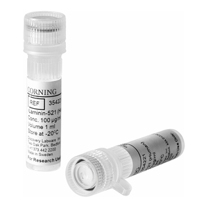 Protéine humaine recombinante Corning RLaminin-521 pour culture cellulaire PSC - Product Image 2