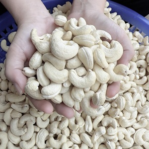 Venta al por Mayor de Nueces de Anacardo Crudas de Vietnam, Nueces de Anacardo Orgánicas al por Mayor Ww180, Ww210, Ww320 OEM, ODM - Product Image 5