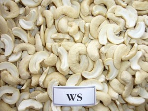 Vietnam Organic Roasted Cashew <b>Nuts</b> & <b>Kernels</b> ISO Certified Vacuum Packed Good Quality Wholesale for Export Phalco Brand Grade a - Product Image 1