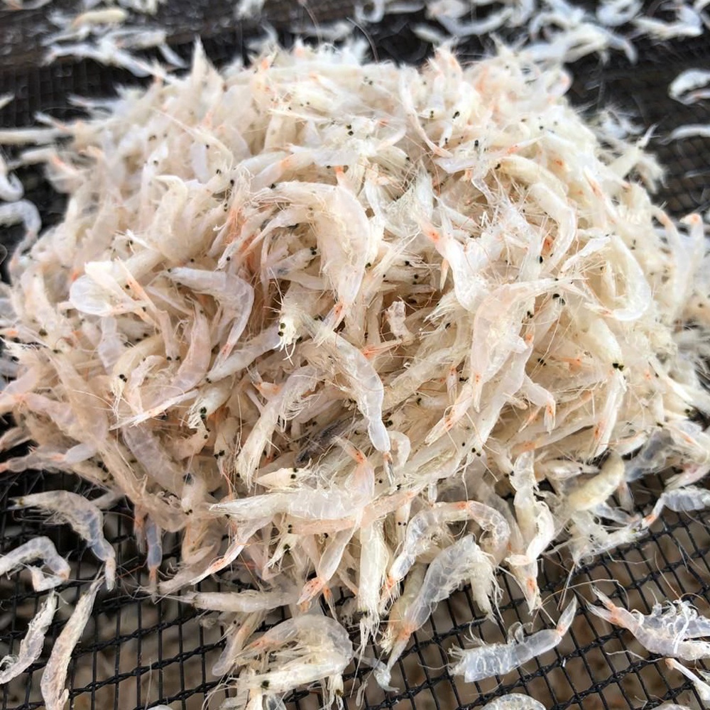 Высококачественные сушеные креветки (JUMBO WHITE), производство из малайзии