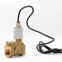 Vanne solénoïde en cuivre DSF-40 1-3/4" haute précision pour le contrôle du carburant, pièce de rechange pour distributeur de carburant