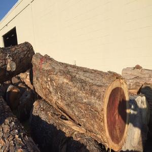 Bûches de chêne robustes conçues pour la production de meubles durables, bois dur de qualité supérieure, livraison rapide, vente en gros - Product Image 1