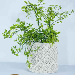 Cesta de Macramé JNC Hecha a Mano con Algodón para Plantas, Decoración Interior y Exterior del Hogar - Product Image 1