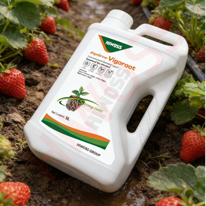 Extracto de Algas Marinas, Agente Enraizador, <span class=keywords><strong>Fertilizante</strong></span> Líquido, Potenciador del Crecimiento de Raíces para Horticultura, Agricultura y Trasplante - Product Image 2
