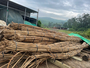 Flexible Rattan Poles for Craft Furniture and Home Decoration Material - Product Image 2