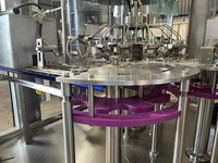 Machine de rinçage, remplissage et bouchage automatique électrique 200 Bpm pour bouteilles d'eau pure 200 ml et 1 L, contrôlée par PLC, haute productivité