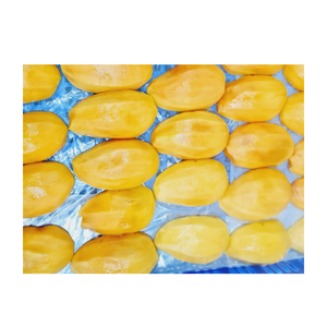 Palitos de Mango Congelados IQF Premium para Helados Recubiertos de Chocolate y Snacks Congelados de Moda - Product Image 6