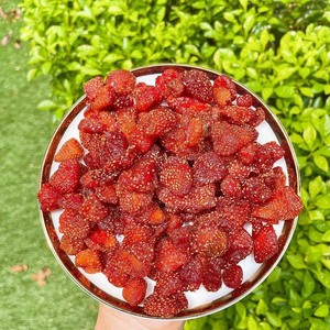 Soft Dried Strawberry Vietnam Export Dried Fruit Snack Pure Strawberries Bulk Supply Custom Label Private Brand Wholesale - Product Image 5