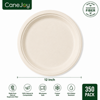 Sac en bagasse robuste et léger, jetable, 12 pouces, écologique, compostable, biodégradable, résistant à l'eau, compatible micro-ondes, pour le camping