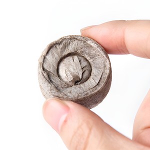 Mousse de noix de coco, prix bon marché, produits agricoles de jardin, vente en gros, mousse de carotte pour les graines, début de la mise en pot du sol - Product Image 1