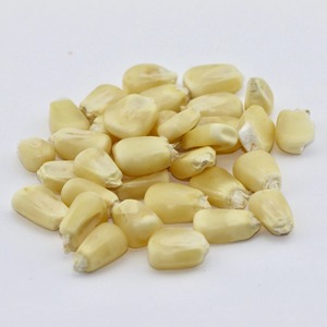 Cleaned White Corn For Animal Feed Offering Dried <strong>Kernel</strong> Form With Reliable Packing And Wholesale Supply For Overseas Buyers - Product Image 6
