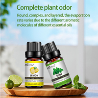 Minyak Esensial Mestin 10ml, Ekstrak Tanaman Alami 100%, Minyak Aromaterapi untuk Diffuser, Lavender, Mint, Mawar, Cendana, Label Pribadi