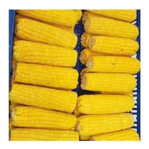 Maïs sucré surgelé en grains, origine Vietnam, fournisseur en gros pour les distributeurs alimentaires - Product Image 3