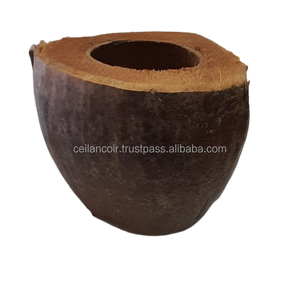 Contenedor de Agua de Coco para Mascotas, Ecológico, Origen Sri Lanka, Ideal para Terrarios, Gatos, Perros, Roedores, Anfibios, Tazón de Comida - Product Image 1