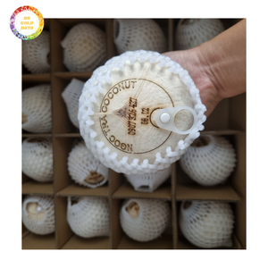 <b>Fresh</b> Young <b>Coconut</b> for International Market Whole Green <b>Coconut</b> with Stable Supply from Vietnam - Product Image 1