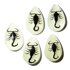 Black Scorpion Real Specimen Plastic Cabochon Pear Shape Cut <b>Top</b> 33x22 mm Glow Flat Bottom for Crafts and Jewelry Making - Product Image 1