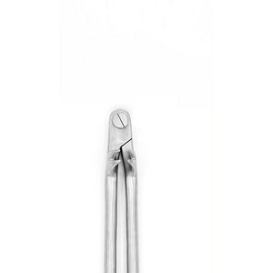 คีมถอนฟันม้าสแตนเลสคุณภาพสูง ทนทาน ใช้ซ้ำได้ สำหรับฟันกรามม้า - Product Image 3