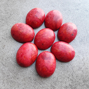 Coral Rojo Natural en Forma de Cabujón, Corte Ovalado, Parte Posterior Plana, Calibrado, Certificado por Terceros, de Rajasthan, para Joyería - Product Image 4