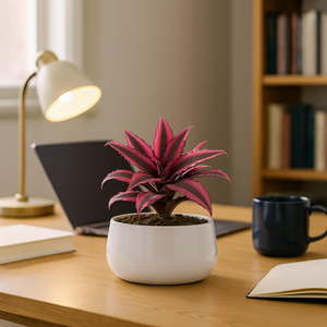 Pot de plante en métal moderne, durable, résistant à la rouille, décoratif, pour plantes d'intérieur et d'extérieur, maison et jardin - Product Image 3