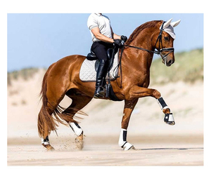 Professional Supplier Customized Made Durable Lightweight and Breathable Material No <b>Turn</b> Horse Bell Boots with OEM ODM services - Product Image 5