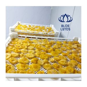2026 CHOIX POPULAIRE Ananas séché biologique premium, procédé FD, collation de fruits moelleuse et masticable, vente en gros, logo personnalisé disponible - Product Image 2