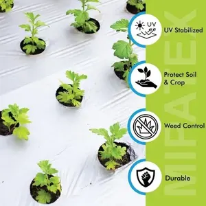 Film de paillage agricole de grande taille LLDPE, marque CRADLE of LIFE, de OJISHTHA INDUSTRIES - Product Image 6