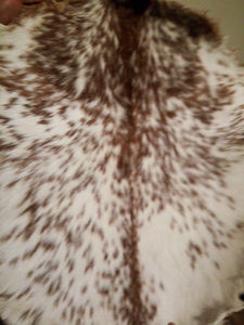 Peau de tambour en cuir de buffle de qualité supérieure, peau d'animal de haute qualité pour tambour, peau de veau naturelle en gros pour Bodhran - Product Image 3