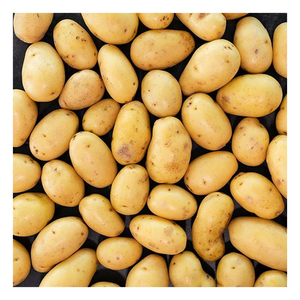 Pommes de terre fraîches biologiques en gros pour l'exportation avec une durée de conservation de 2 ans - Product Image 6